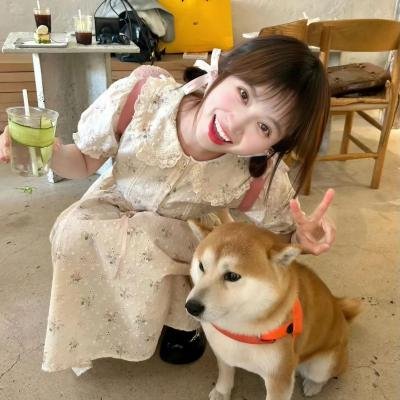 行骗高手